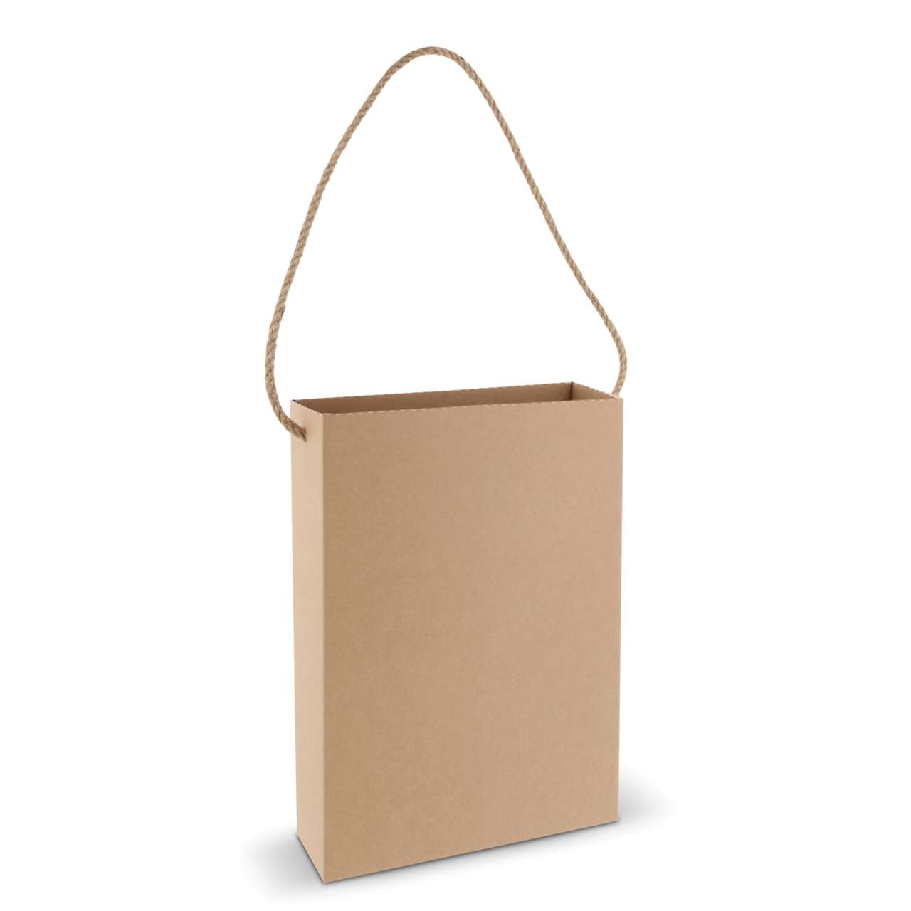 Kartontasche 24 x 8x32cm