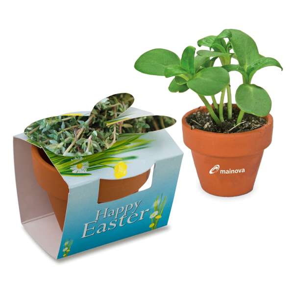 Tontöpfchen-Hase mit Samen