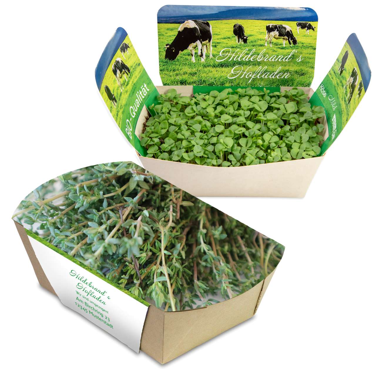 Pflanzodrom mit Samen