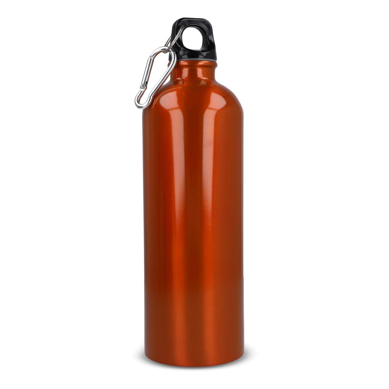 R-Edelstahl einwandige Flasche mit Karabiner 750ml
