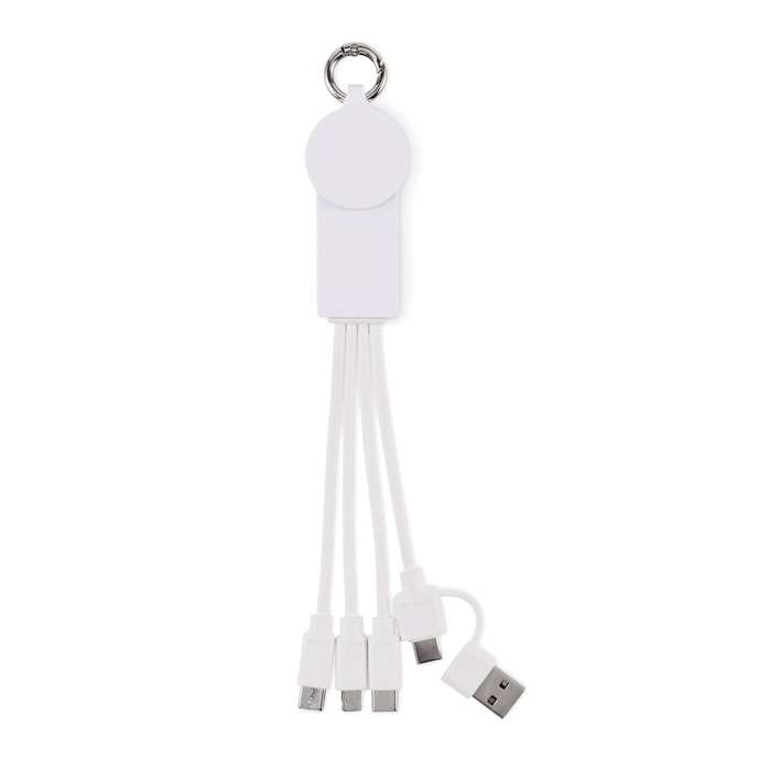 2in1 Ladekabel Typ-C ICAB