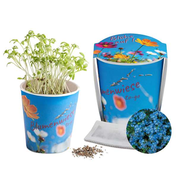 Blumenwiese To-Go - Ostern