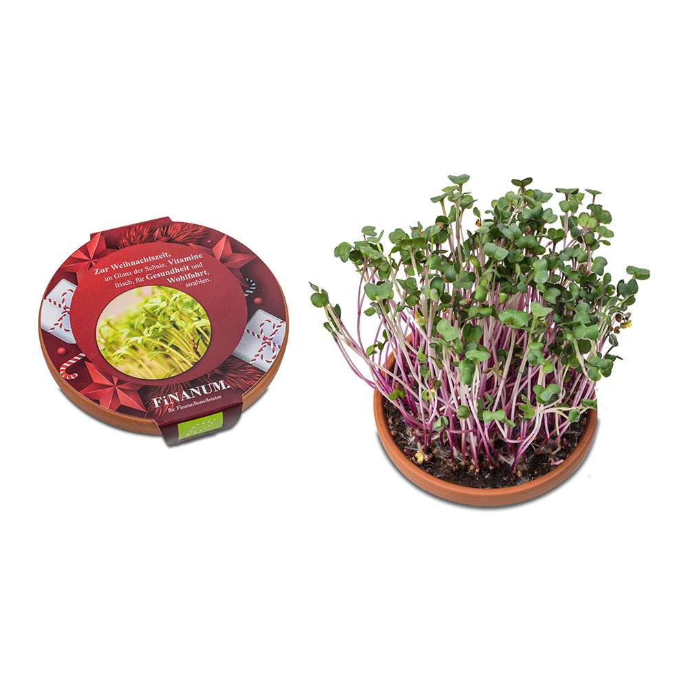 Vitamin-Schale - Weihnachten