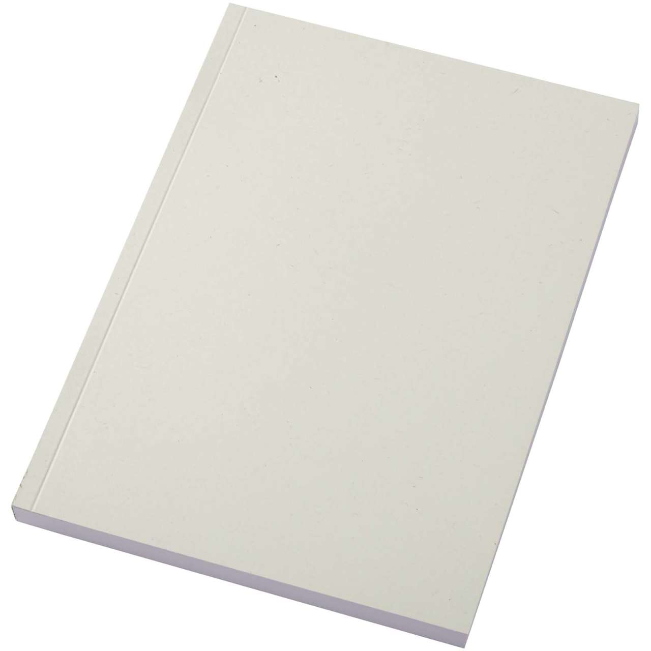 Scribe Plus A5 recyceltes Softcover Notizbuch