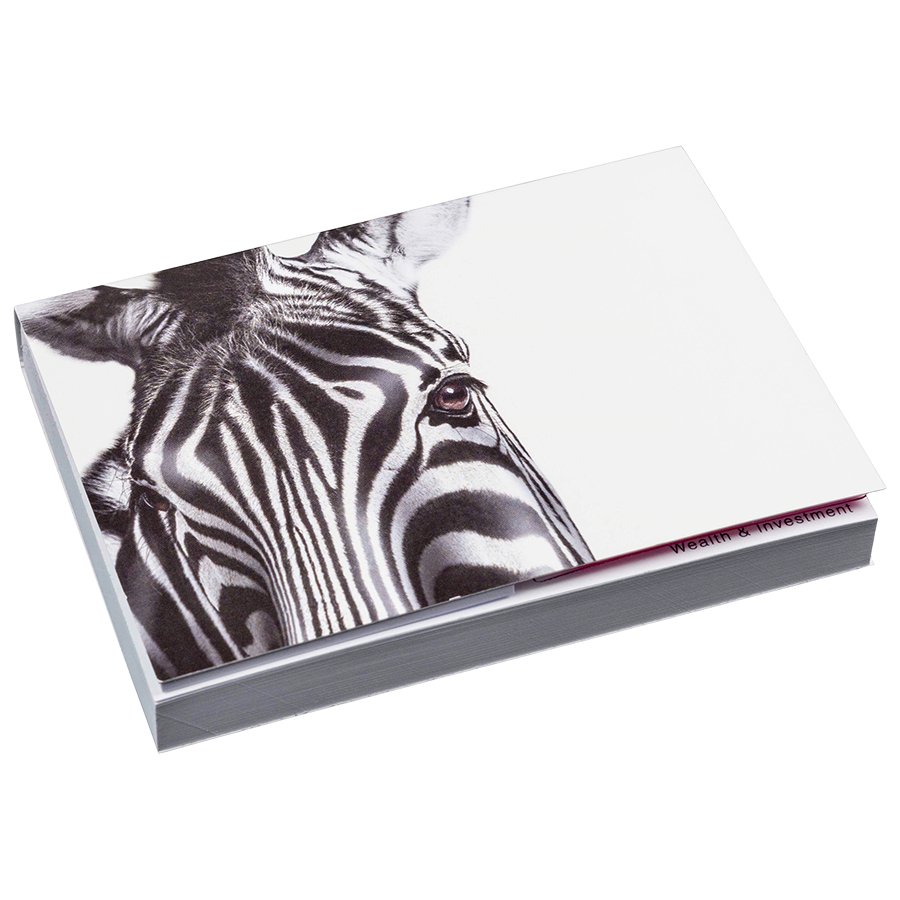 Softcover Combi-Set, Blatt unbedruckt