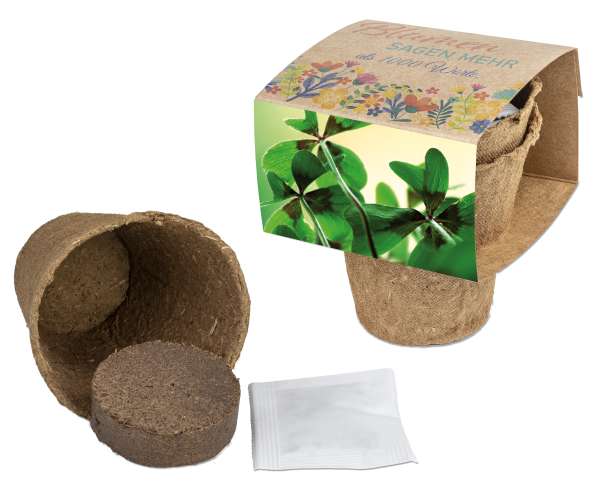 Anzucht-Set mit Samen