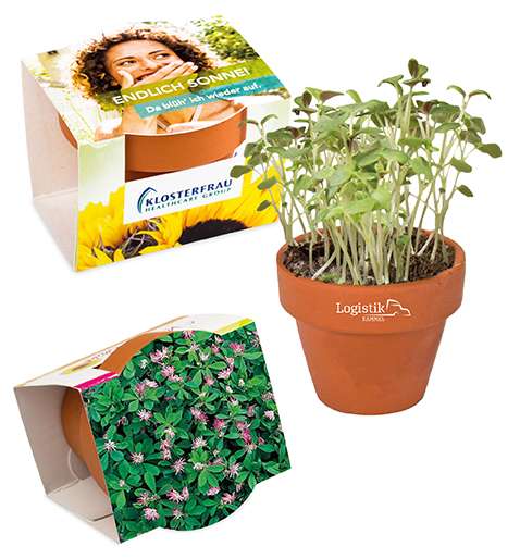 Logo-Töpfchen Überreichverpackung mit Samen