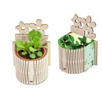 Glücksklee-Zwiebel, inkl. Lasergravur (* Je nach Verfügbarkeit der Glücksklee-Zwiebeln)