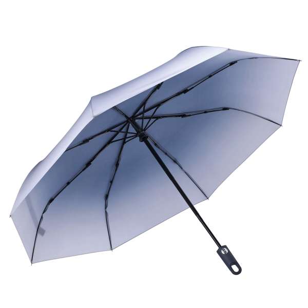 Vollautomatischer Windproof-Taschenschirm BARONESS
