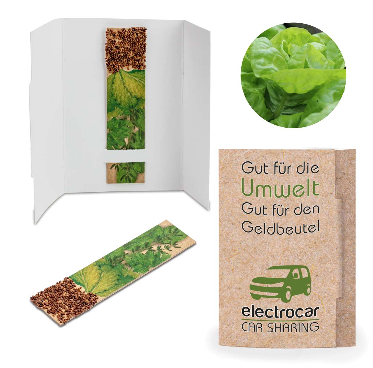 Kräuter-Stick mit Samen