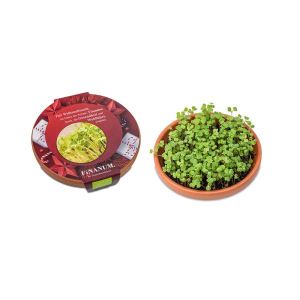 Vitamin-Schale - Weihnachten