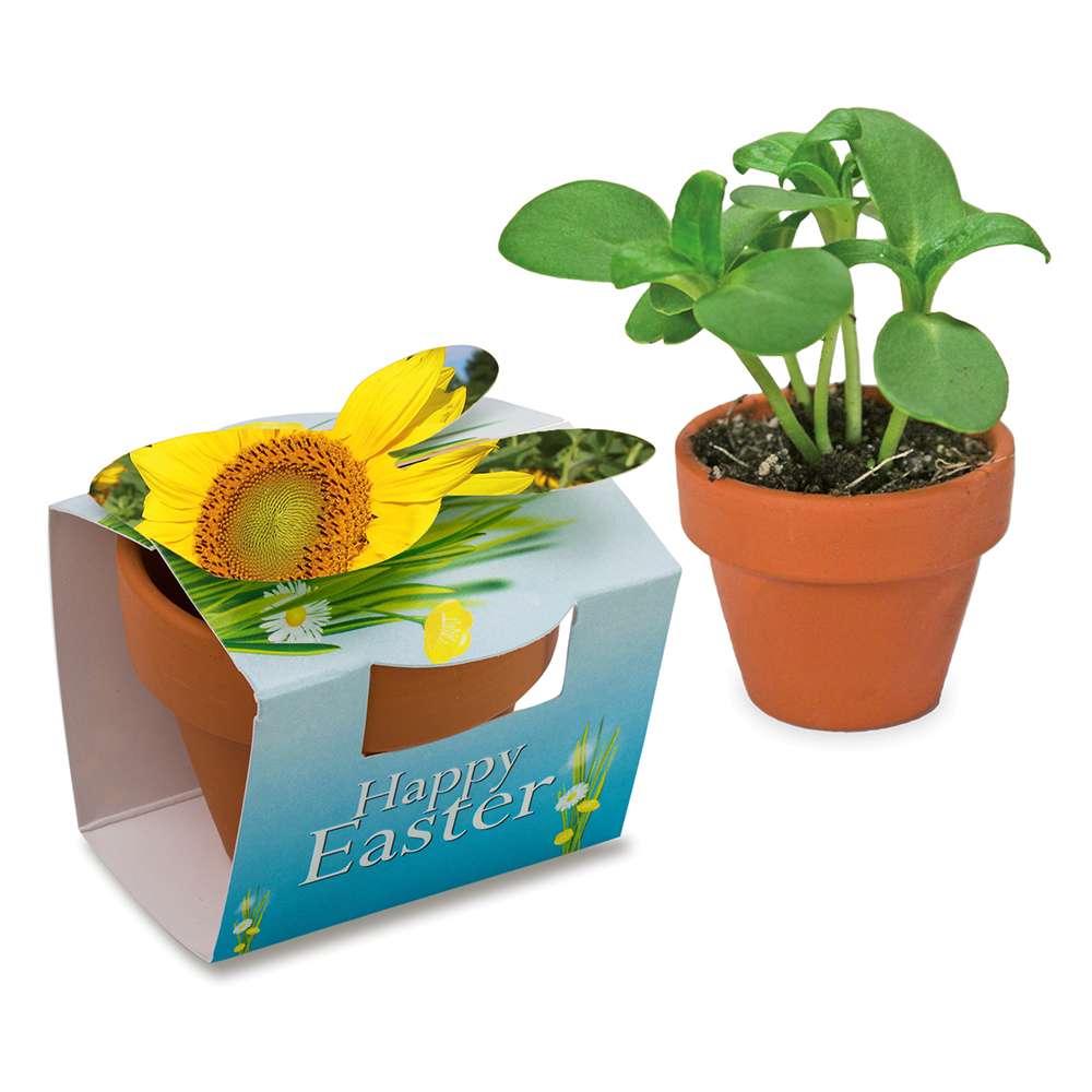 Tontöpfchen-Hase mit Samen