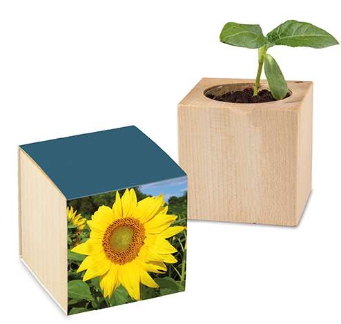 Pflanz-Holz mit Samen - Ostern