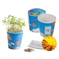 Ringelblume - neutral mit 1-c Logoeindruck