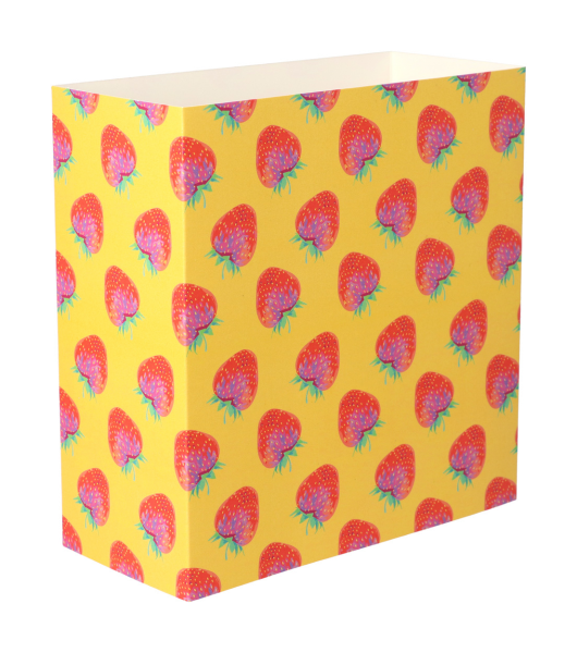 Individueller Pappschuber CreaSleeve 418