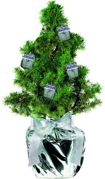 Geschenke-Bäumchen 20-30 cm