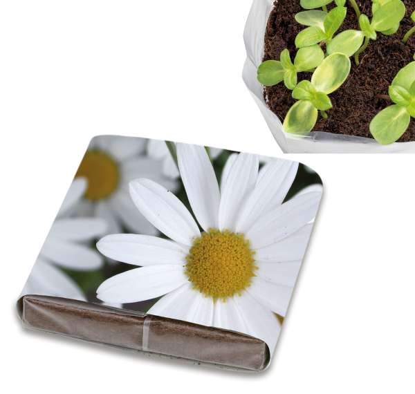 PopUp Anzuchterde mit Samen