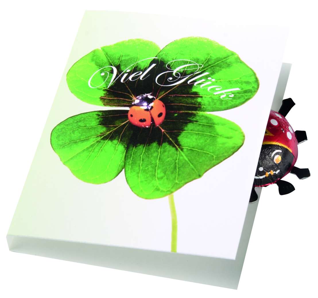 Klappkärtchen Glückskäfer