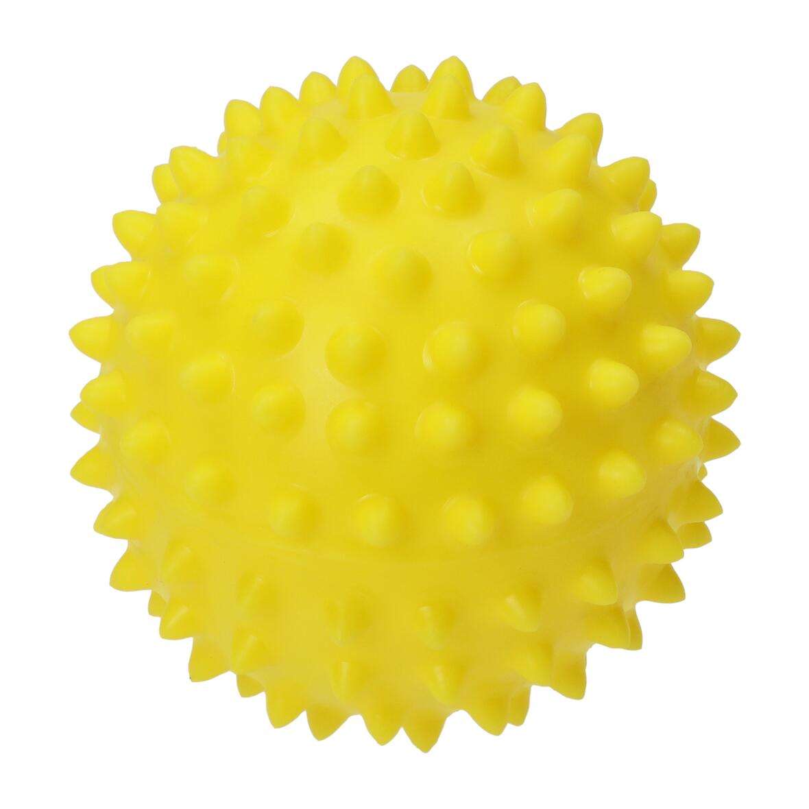 Wellness-Ball 