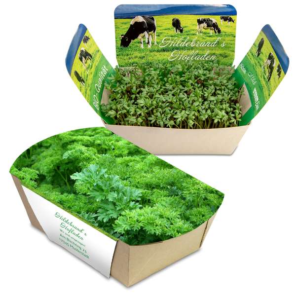 Pflanzodrom mit Samen