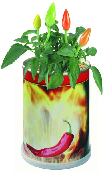 Blumendose Hot