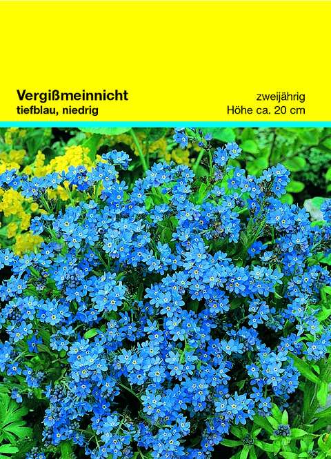 Samentütchen Vergissmeinnicht 82 x 114 mm