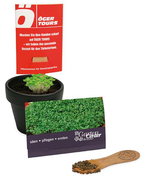 Pflanz-Stick mit Samen