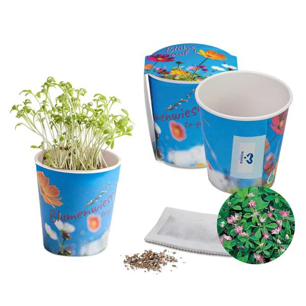 Blumenwiese To-Go - Ostern