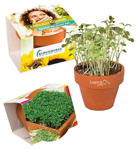 Logo-Töpfchen Überreichverpackung mit Samen