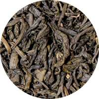 YuboFiT® China Green Dragon Tee