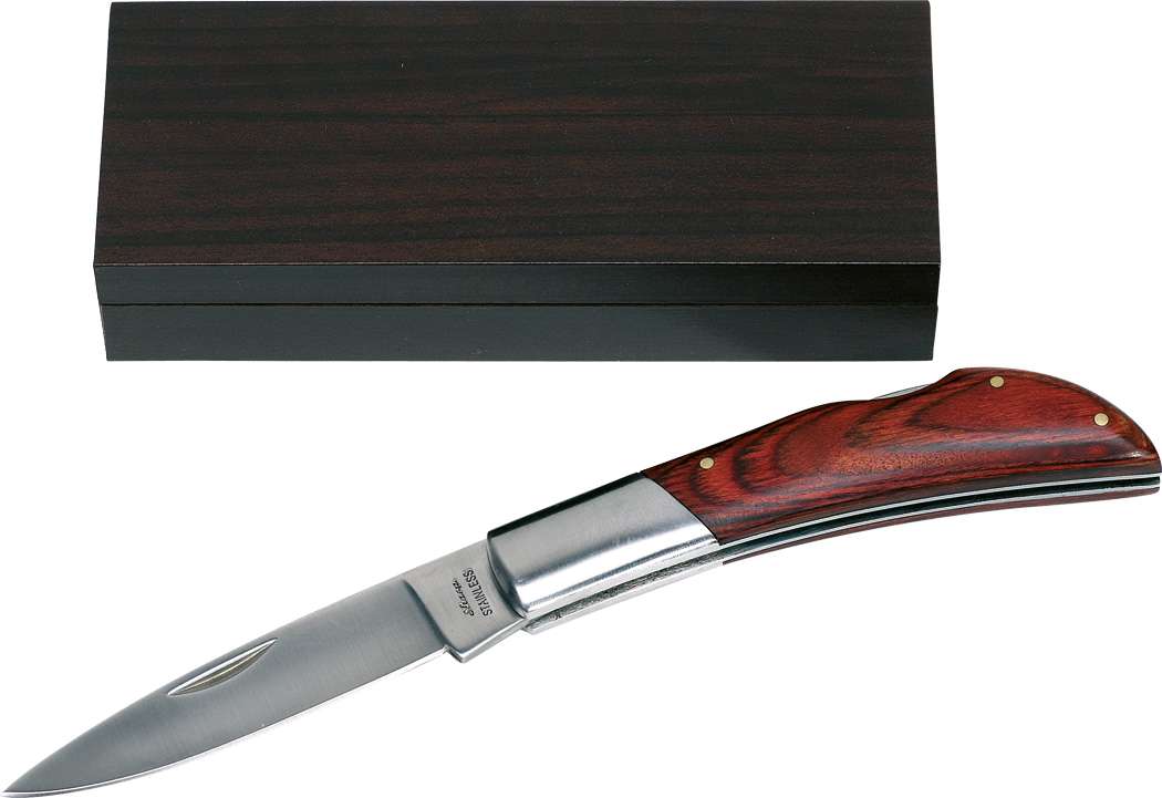 Klappmesser SURVIVOR