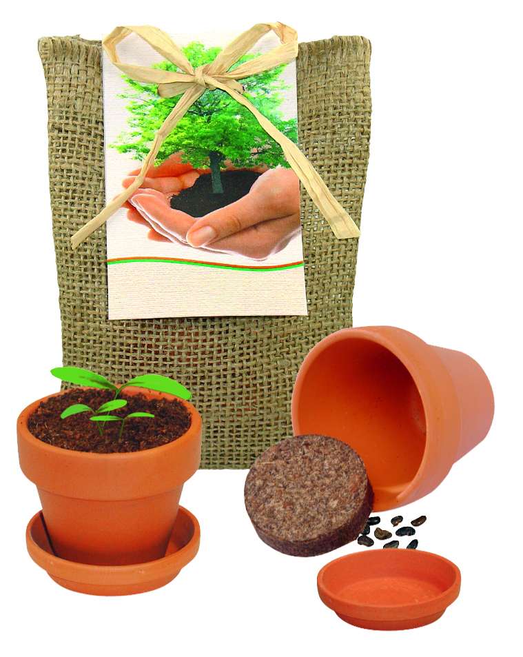 Pflanze Deinen Baum kleines Natur-Säckchen