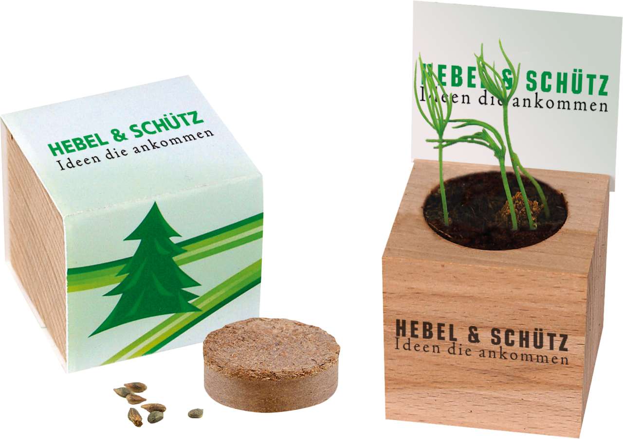 Natur-Würfel Fichte