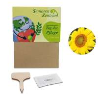 2er-Set - Sonnenblume / Margerite