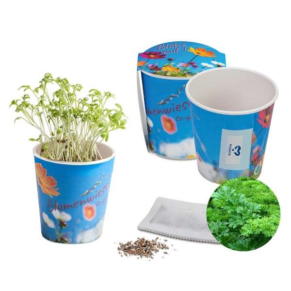 Blumenwiese To-Go - Ostern