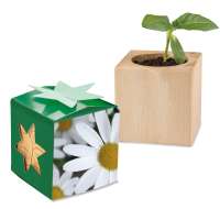 Margerite, 1 Seite gelasert