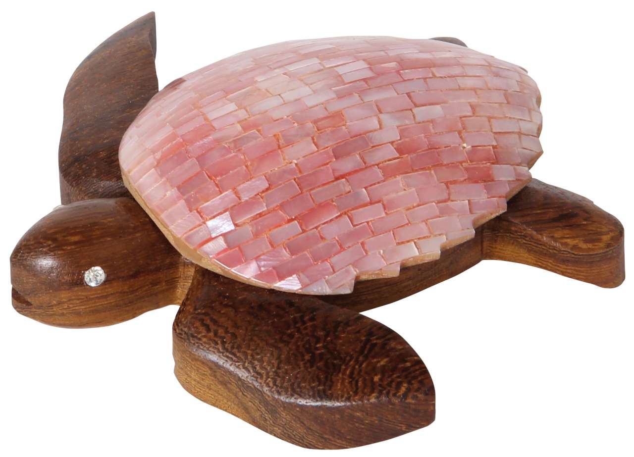 Schildkröte exklusiv rosa