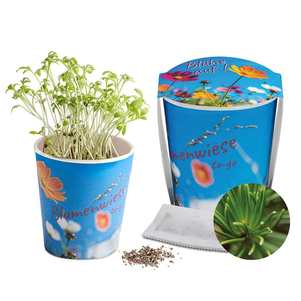 Blumenwiese To-Go - Ostern