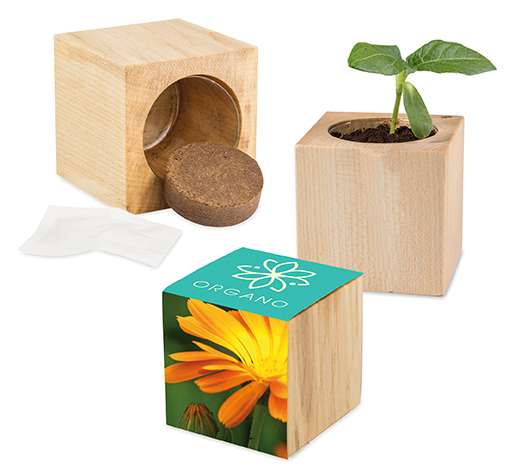 Pflanz-Holz Maxi mit Samen