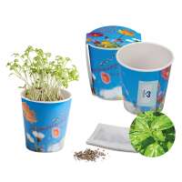 Basilikum - neutral mit 1-c Logoeindruck