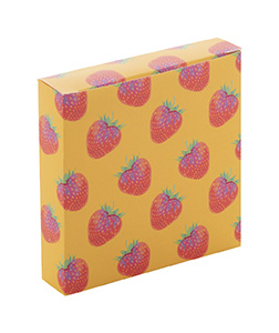 Individuelle Box CreaBox PB-171