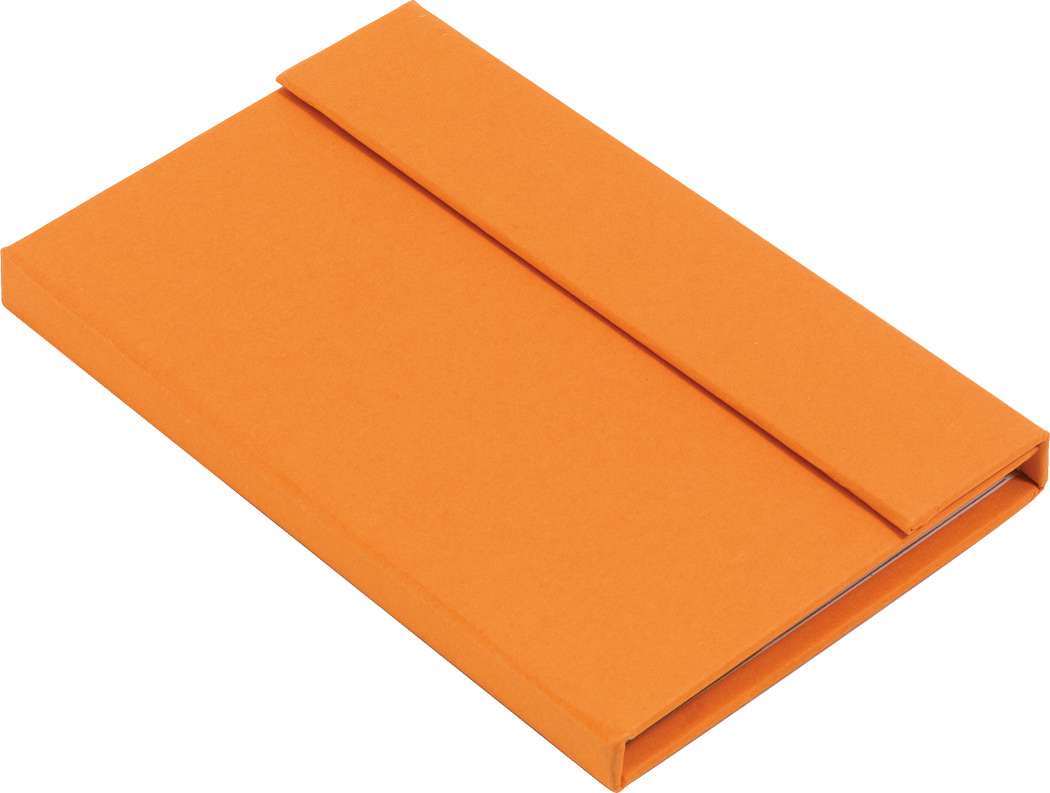 Notizbuch LITTLE NOTES