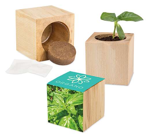 Pflanz-Holz Maxi mit Samen