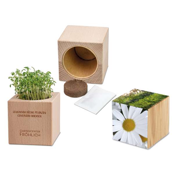 Pflanz-Holz Grande mit Samen