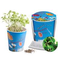 Glücksklee-Zwiebel(* Je nach Verfügbarkeit der Glücksklee-Zwiebeln) - neutral