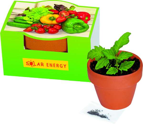 Naschgemüse-Töpfchen Paprika