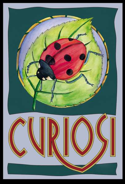 Picoli Puzzle Marienkäfer