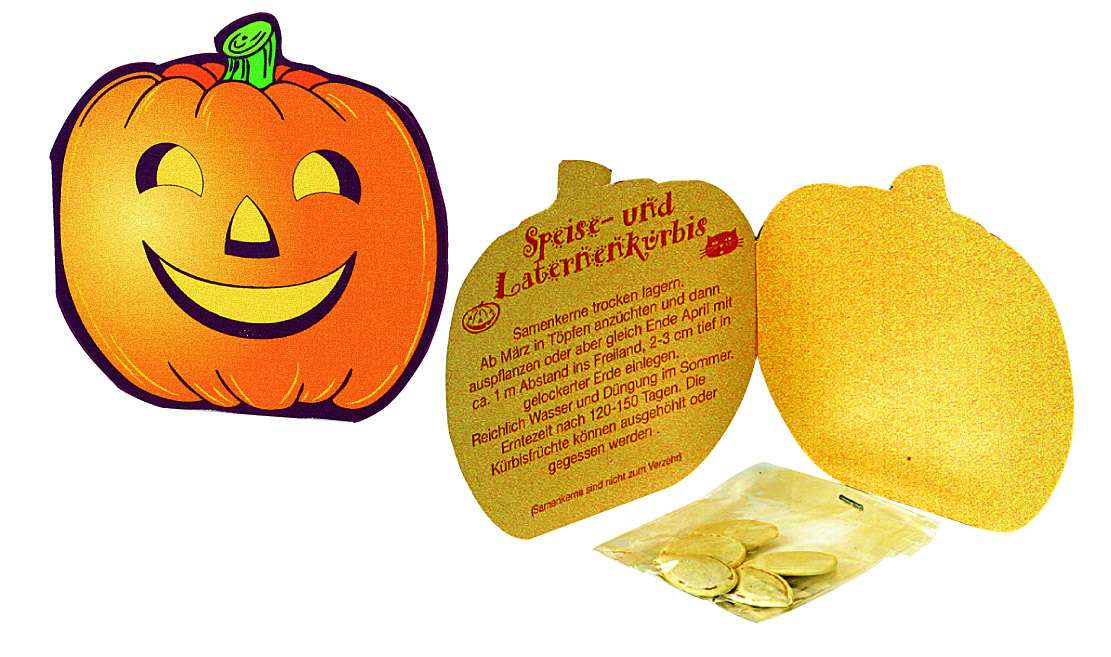 Klappkärtchen Halloween