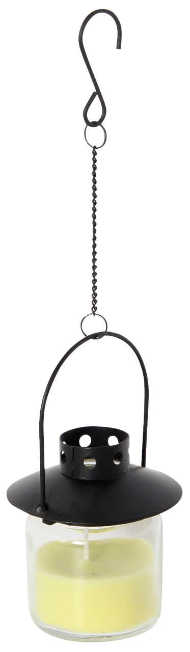 Metall-Glaswindlicht Citronella