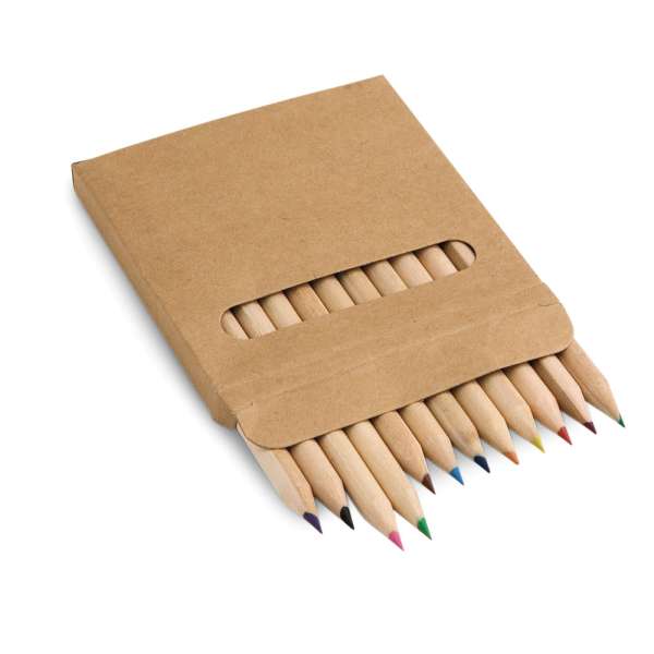 COLOURED Buntstift Schachtel mit 12 Buntstiften